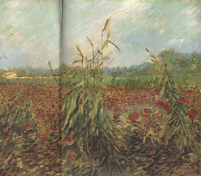 Vincent Van Gogh Green Ears of Wheat (nn04) oil painting image